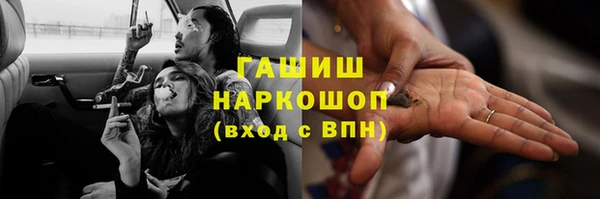 эйфоретик Бородино